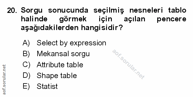 Soru 20
