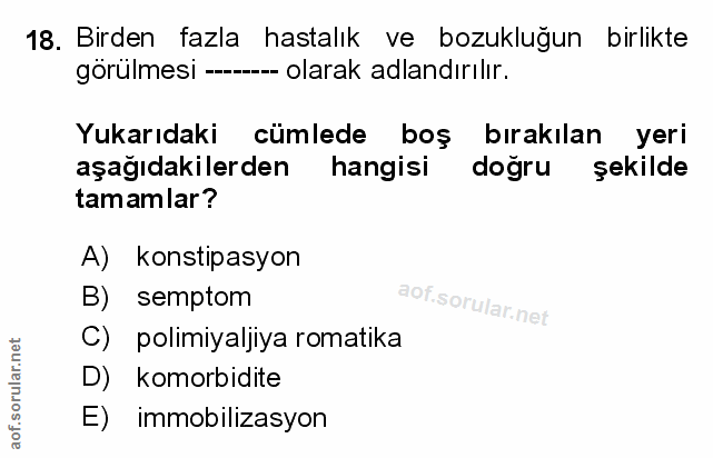 Soru 18