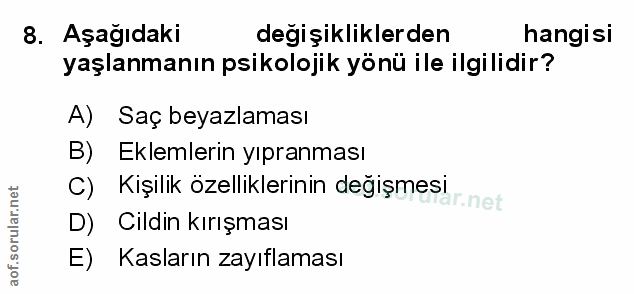Soru 8