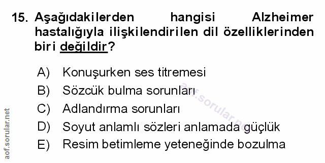 Soru 15
