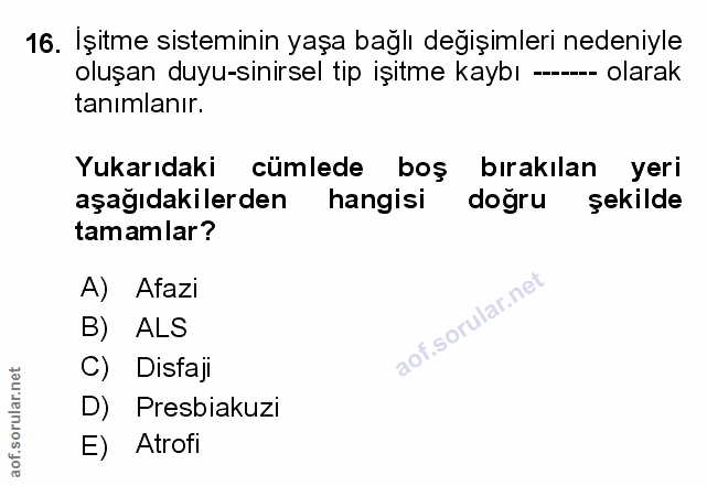Soru 16