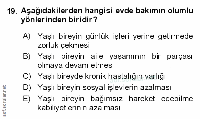 Soru 19