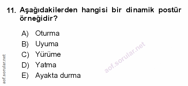 Soru 11