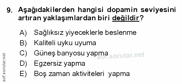 Soru 9