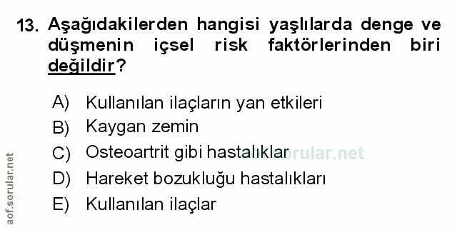 Soru 13