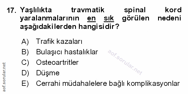 Soru 17