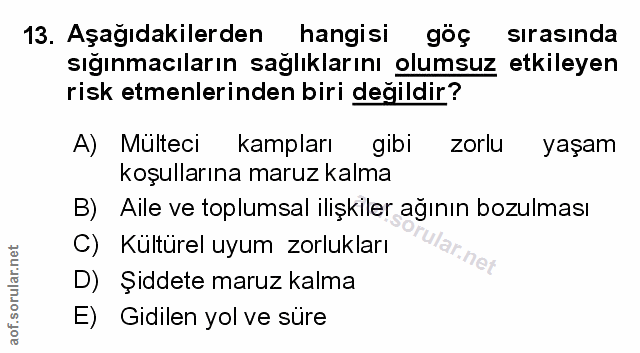 Soru 13