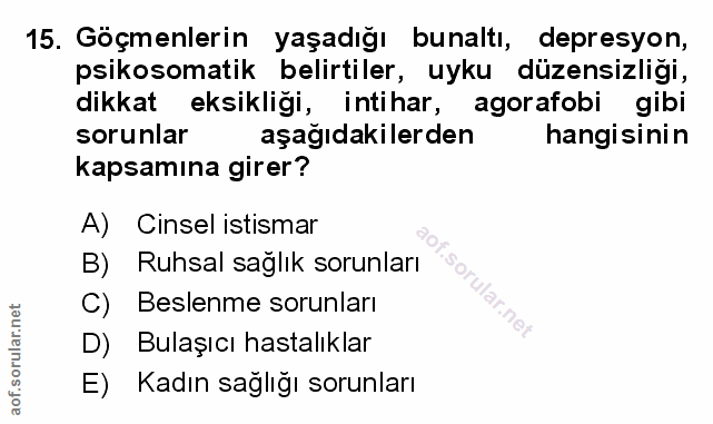 Soru 15