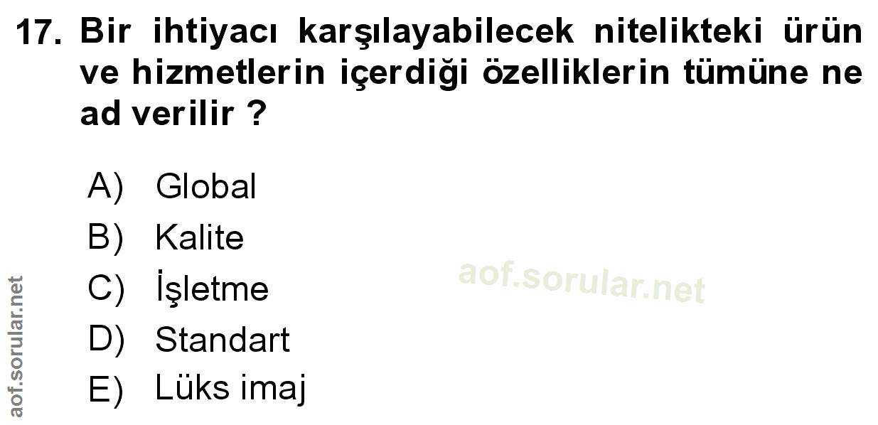Soru 17