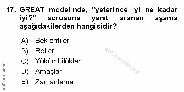Soru 17