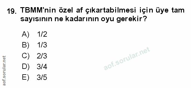 Soru 19