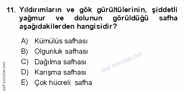 Soru 11