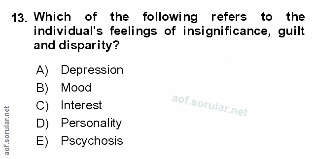 Soru 13