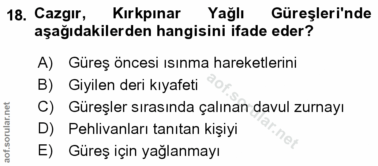Soru 18