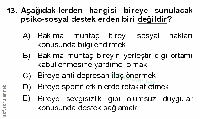 Soru 13