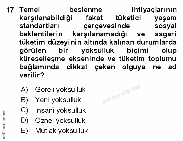 Soru 17