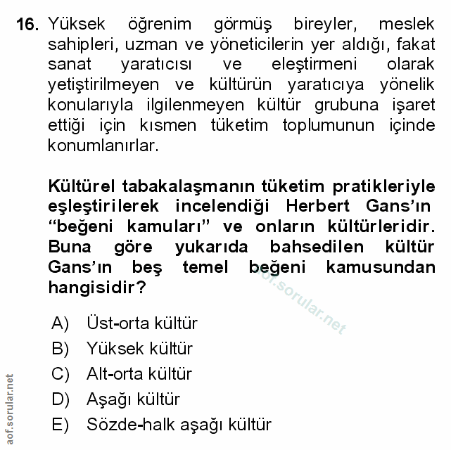 Soru 16
