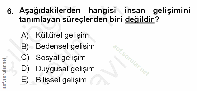 Soru 6