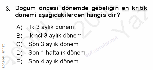 Soru 3