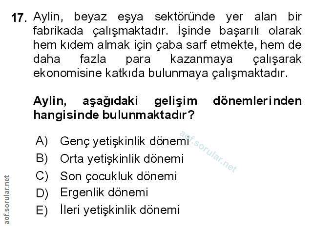 Soru 17