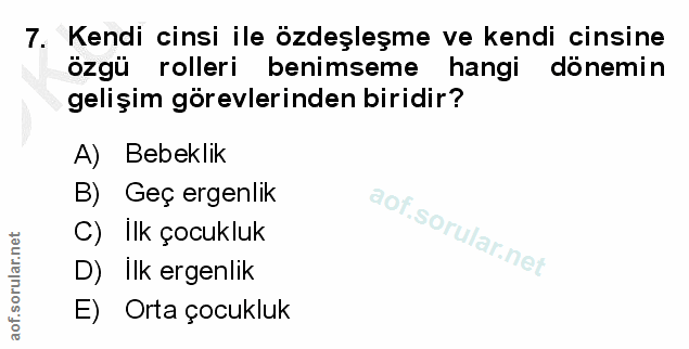 Soru 7