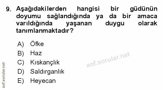 Soru 9