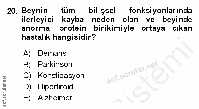 Soru 20