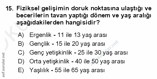 Soru 15