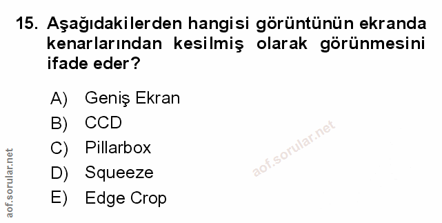 Soru 15