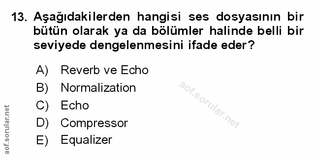 Soru 13
