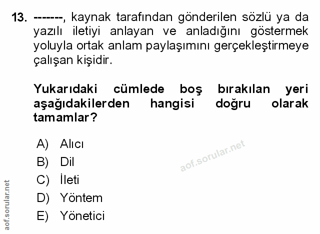 Soru 13