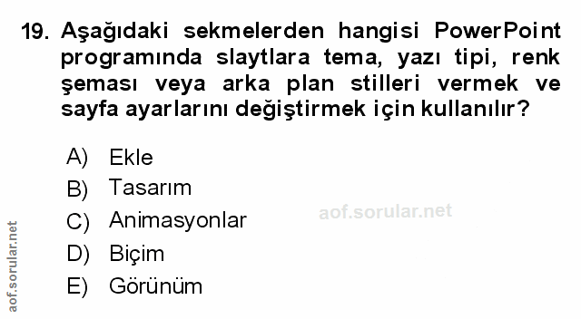 Soru 19
