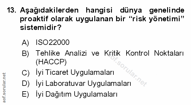 Soru 13