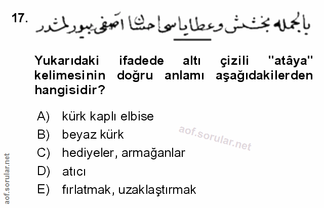 Soru 17