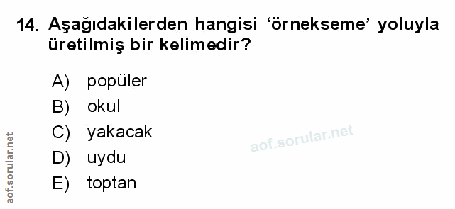 Soru 14