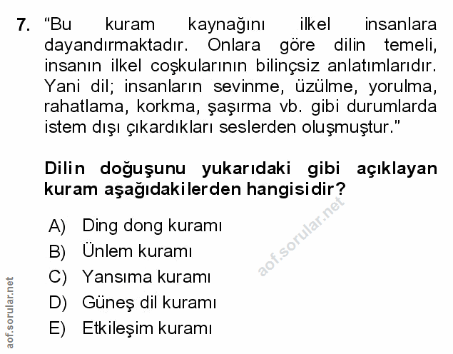 Soru 7
