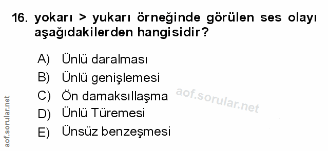 Soru 16
