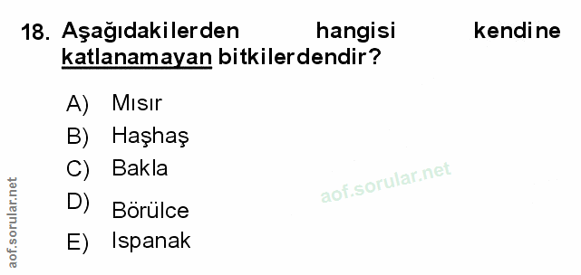 Soru 18