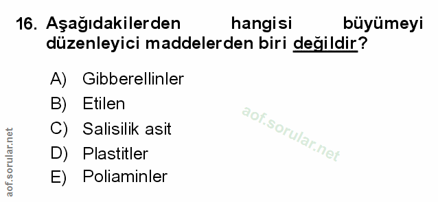 Soru 16