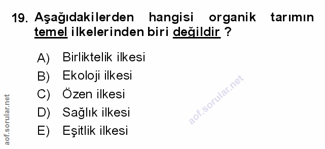 Soru 19