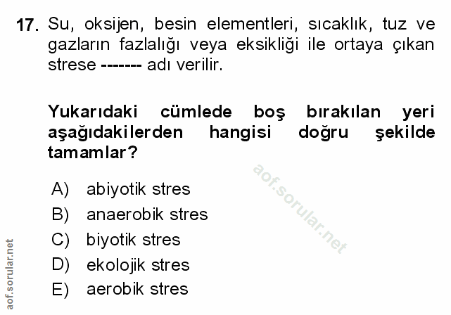 Soru 17