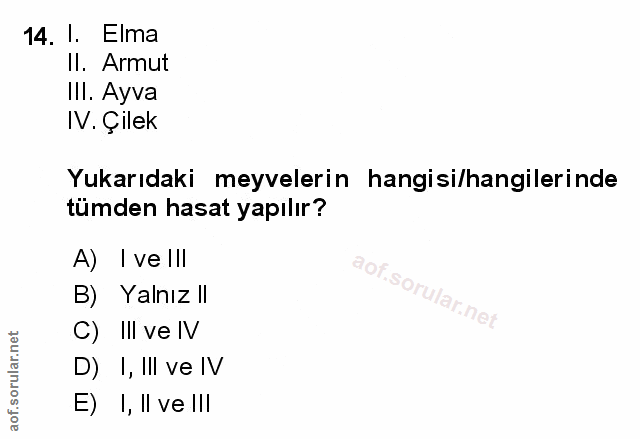 Soru 14