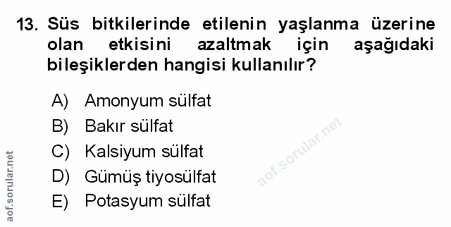 Soru 13