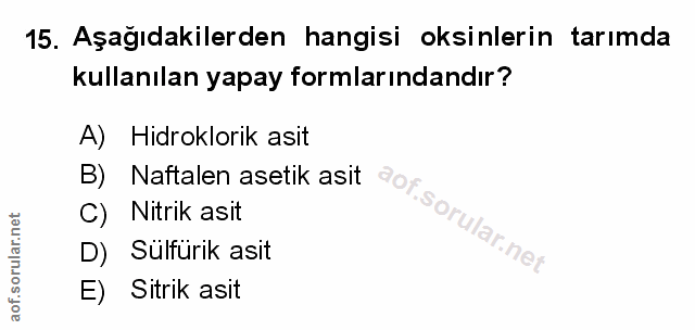 Soru 15