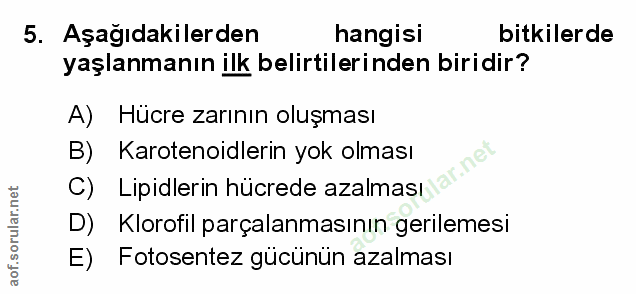 Soru 5