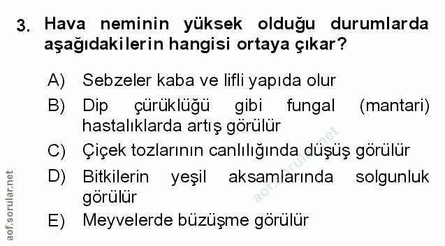 Soru 3