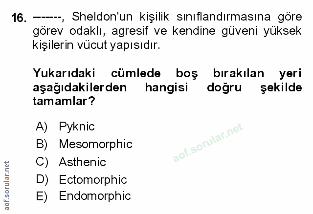 Soru 16