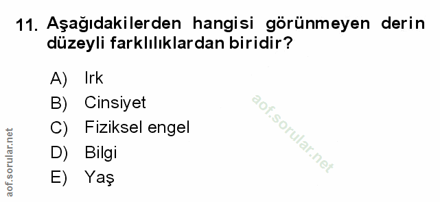 Soru 11