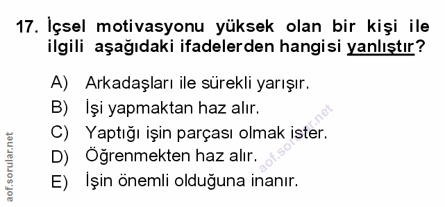 Soru 17