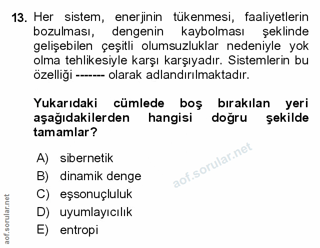 Soru 13